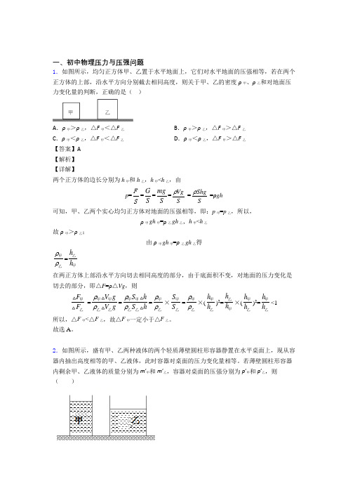 中考物理专题复习分类练习 压力与压强问题综合附答案解析