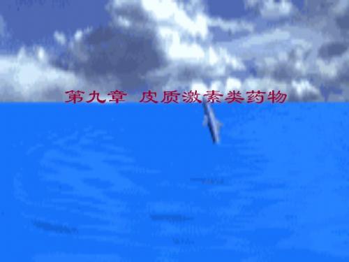 兽医药理学课件(第9章)