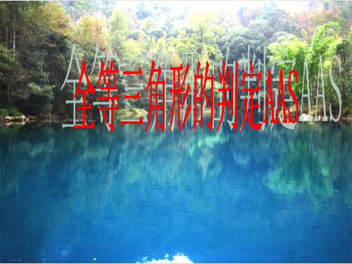 湘教版数学八年级上册全等三角形的判定AAS精品课件PPT