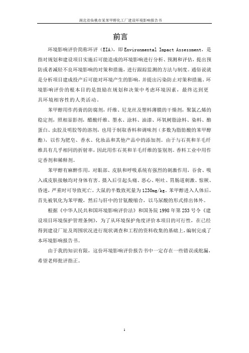 湖北省仙桃市某苯甲醇化工厂建设环境影响报告书
