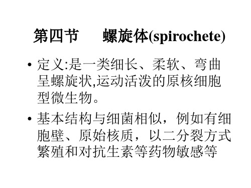 螺旋体