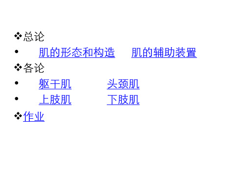肌学
