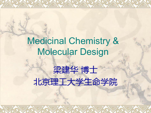 第九章定量构效关系研究