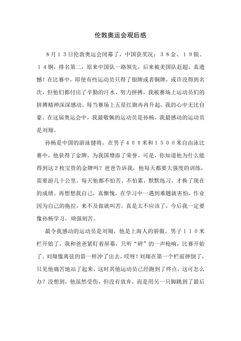 伦敦奥运会观后感