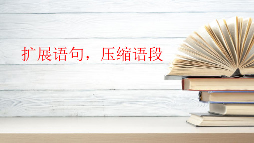 高考复习《扩展语句,压缩语段》课件下载43