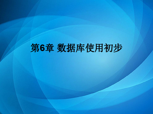计算机应用基础  第6章 数据库使用初步