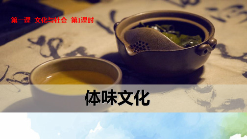 高中政治必修3优质课件8：1.1 体味文化