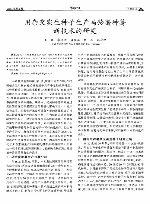 用杂交实生种子生产马铃薯种薯新技术的研究