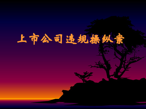 上市公司违规操纵案-PPT课件