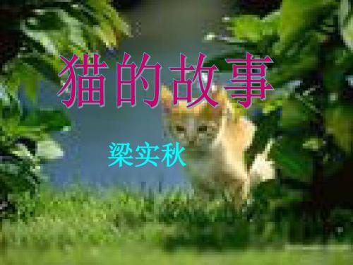 猫的故事PPT课件3 北师大版 (共10张PPT)