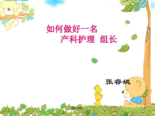护理组长ppt课件