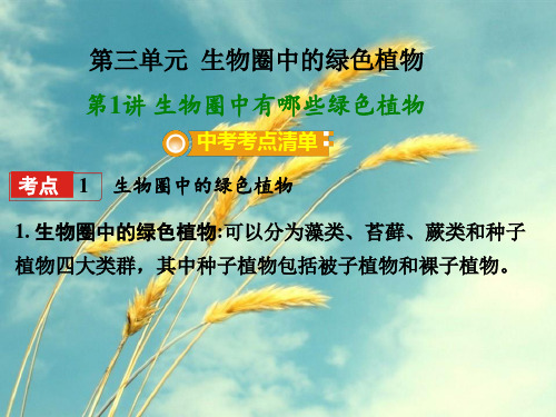 中考生物复习：生物圈中有哪些绿色植物ppt(2份) 人教版PPT精选课件
