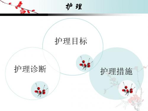 急性毛细支气管炎的护理查房ppt课件