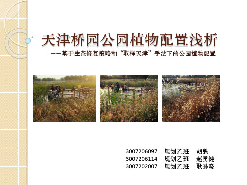 天津桥园公园植物配置浅析