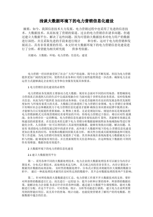 浅谈大数据环境下的电力营销信息化建设