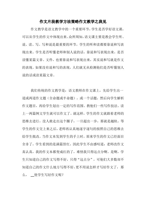 作文片段教学方法策略作文教学之我见