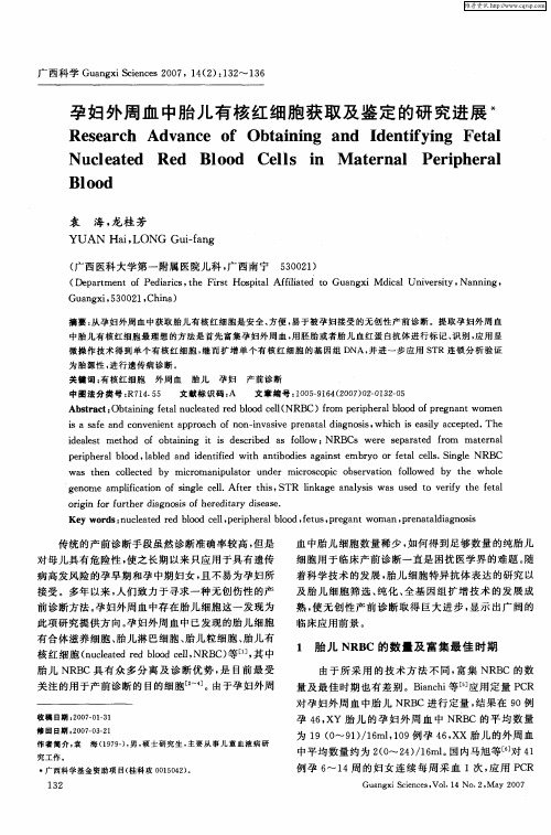 孕妇外周血中胎儿有核红细胞获取及鉴定的研究进展