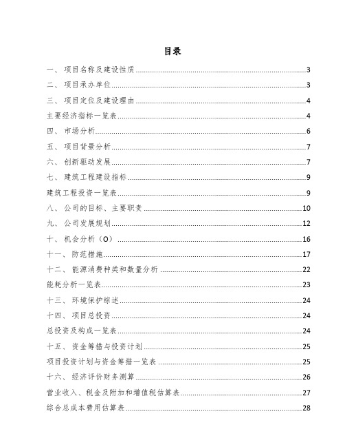 免洗洗手液项目总结分析报告