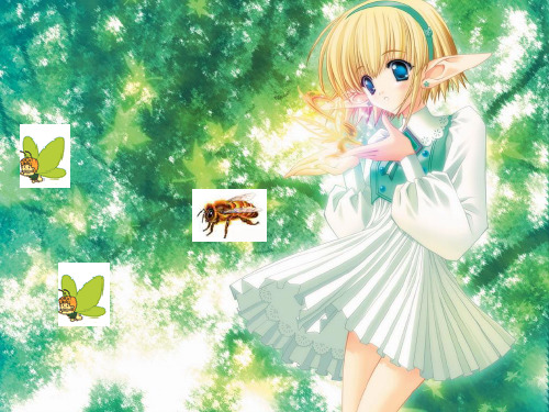 高三英语unit14 课件.ppt