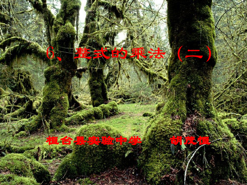 七年级数学整式的乘法2