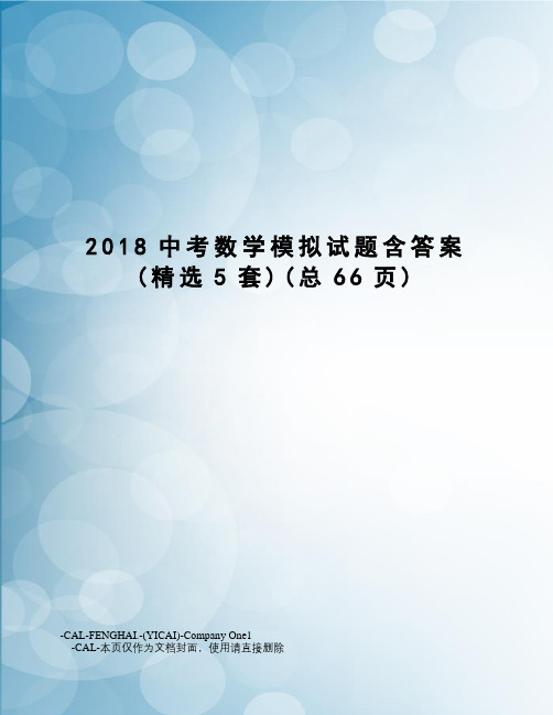 2018中考数学模拟试题含答案