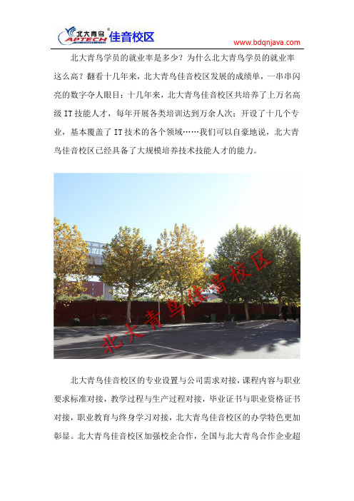 北大青鸟就业率怎么样