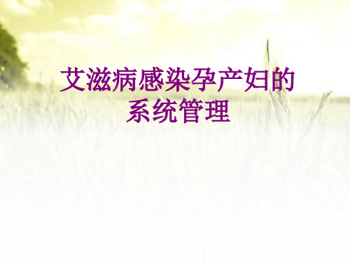 艾滋病感染孕产妇的系统管理 PPT