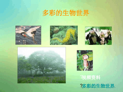 北京版七年级上册认识我们身边的其他生物3