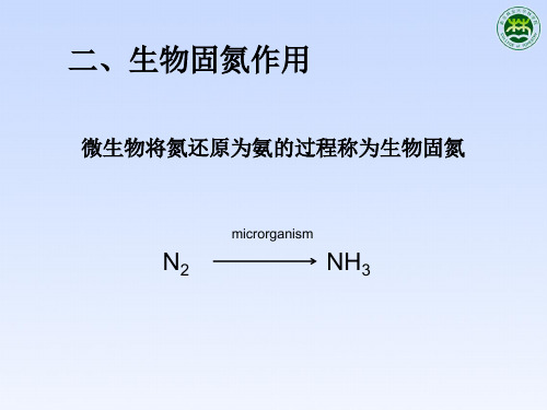固氮作用