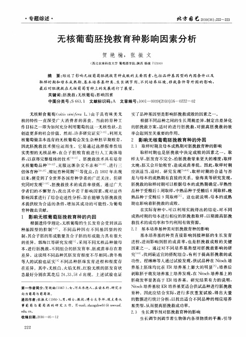 无核葡萄胚挽救育种影响因素分析