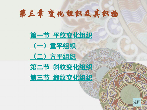 第三章变化组织