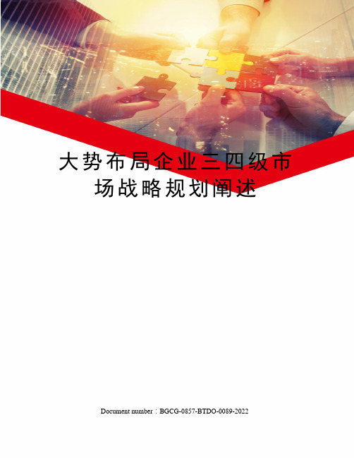 大势布局企业三四级市场战略规划阐述