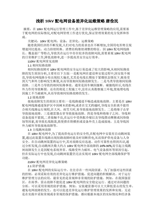 浅析10kV配电网设备差异化运维策略 唐俭民