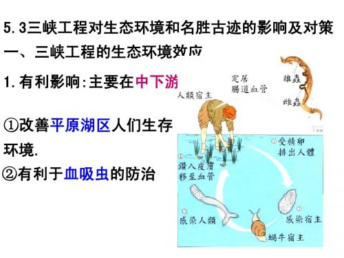 5.3三峡工程对生态环境和名胜古迹的影响及对策