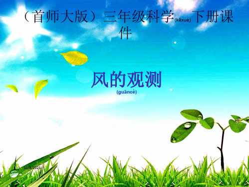 三年级科学下册 风的观测 1课件_00001