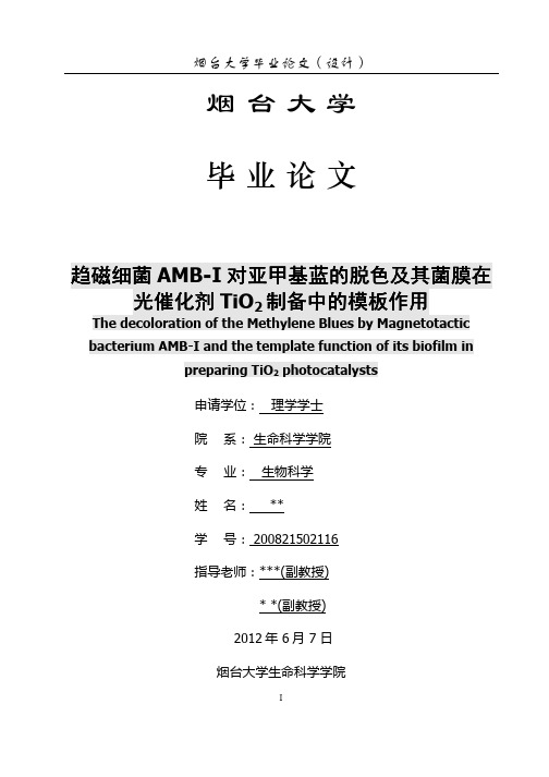 本科生毕业论文--趋磁细菌AMB-I对亚甲基蓝的脱色及其菌膜在光催化剂TiO2制备中的模板作用