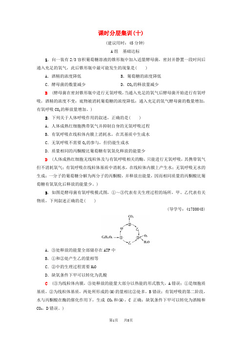 高考生物一轮复习第3单元光合作用和细胞呼吸课时分层集训10细胞呼吸苏教