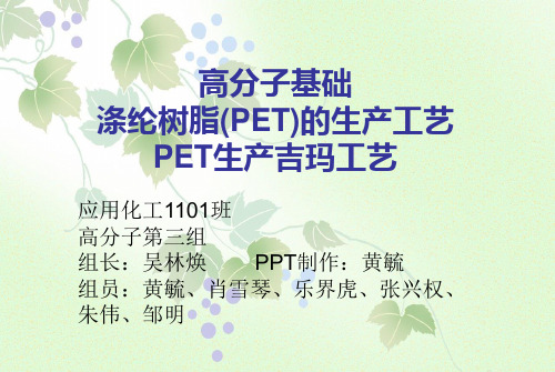 PET分娩吉玛工艺