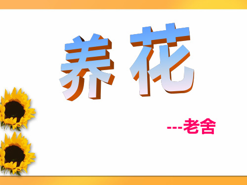 北师大版小学六年级下册语文《养花》课件PPT