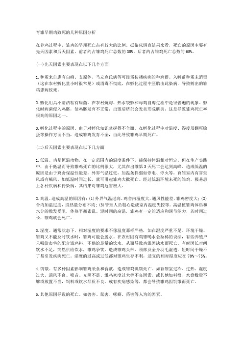 育雏早期鸡致死的几种原因分析