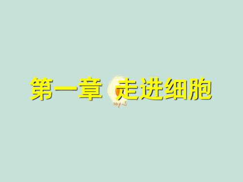 高一生物第一章走进细胞课件新人教版必修