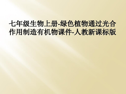 七年级生物上册-绿色植物通过光合作用制造有机物课件-人教新课标版
