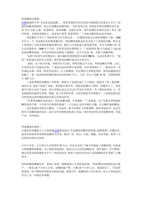 泥鳅养殖的成功案例