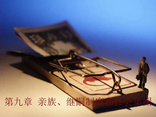 文化人类学第九章2