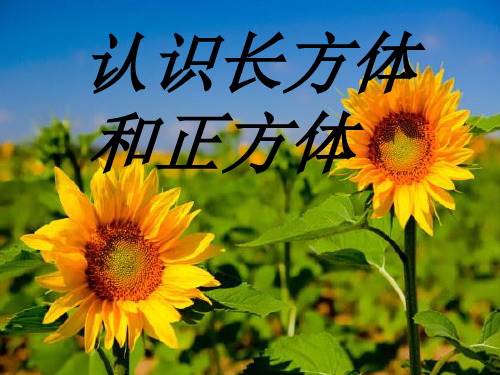 【新】人教版五年级数学下册《认识长方体和正方体》优质课课件.ppt