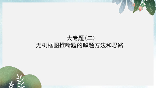高考化学一轮复习大专题二无机框图推断题的解题方法和思路课件新人教版