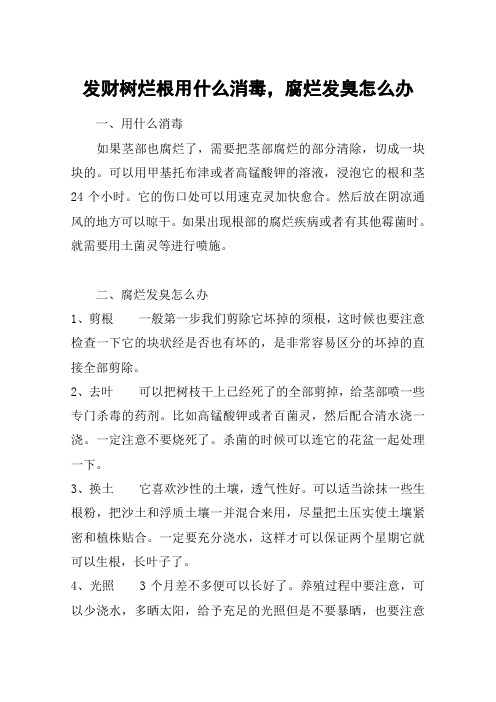 发财树烂根用什么消毒,腐烂发臭怎么办