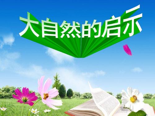 12大自然的启示PPT