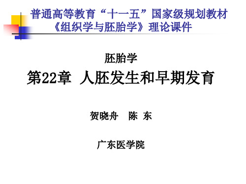 第22章人胚发生和早期发育