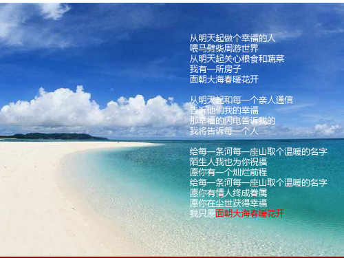 某地区项目管理及营销诊断管理知识报告分析